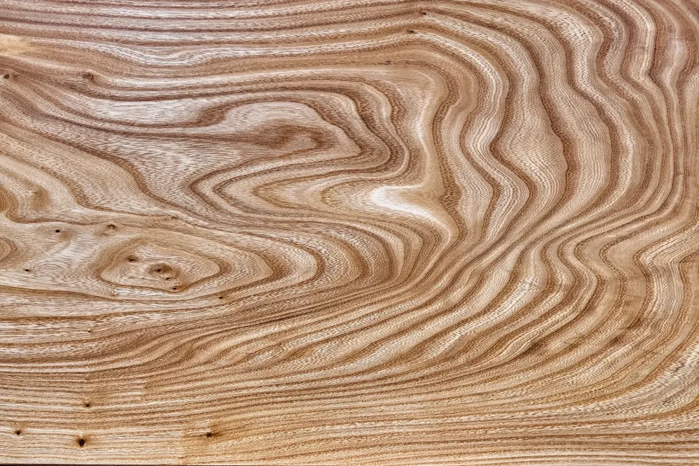 background-bois-clair